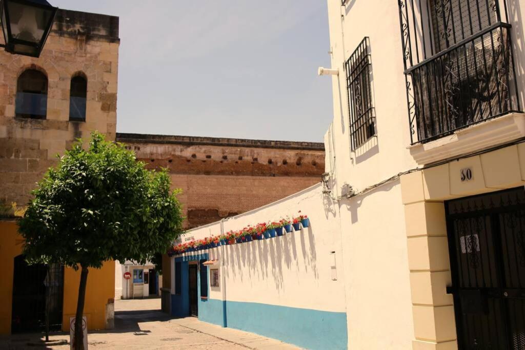 Calle San Basilio - Patios. Aparcamiento Gratis Córdoba Buitenkant foto