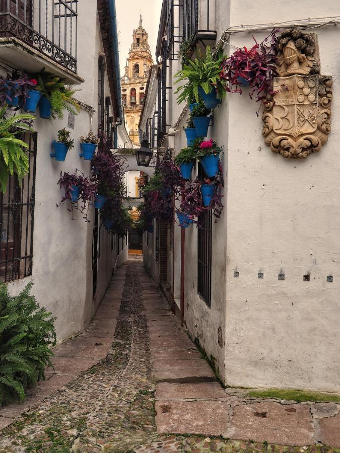 Calle San Basilio - Patios. Aparcamiento Gratis Córdoba Buitenkant foto